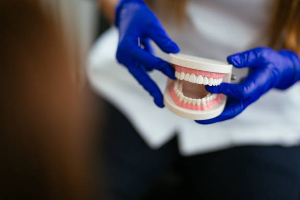 Best Dental Fillings (Composite and Amalgam)  in Wartburg, TN